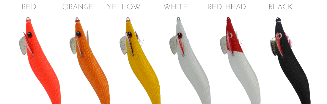 EGI-full-color-oita-DTD