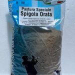 001-pastura-spigola-orata-ellevi.jpg