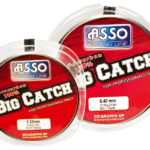 asso-big-catch_2.png