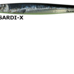 sardix_mediterranean_jig_extreme_measure_olympus.jpg