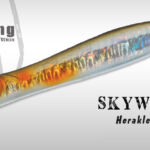 skywalk-arhklv06.jpg