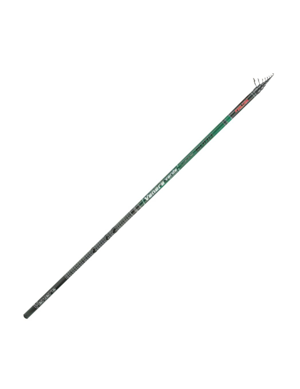 canna-falcon-venere-verde