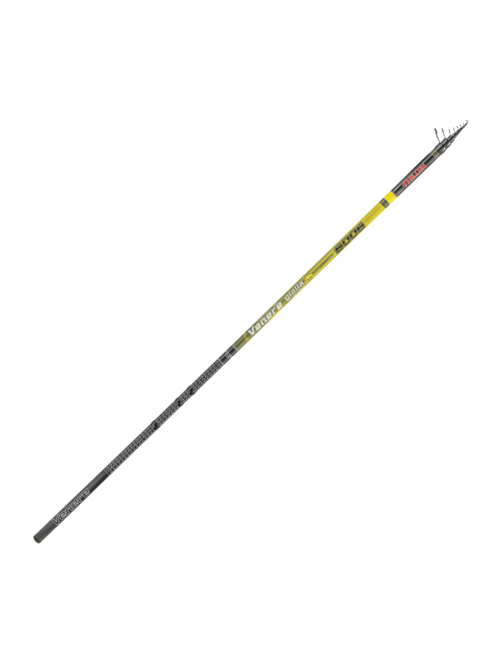 canna-venere-gialla-falcon